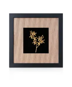 Khung Tranh Dát Vàng "Chi Lan Renantanda Sawadi" 36x36