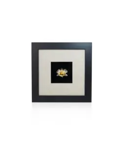 Khung Tranh Dát Vàng "Chi Lan Dendrobium" 25x25