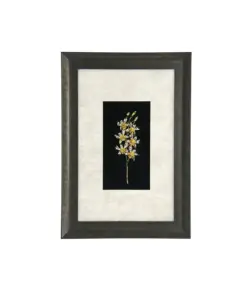 Khung Tranh Dát Vàng "Chi Lan Dendrobium" 60x45