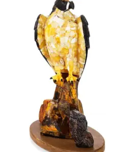 Chim Ưng Hổ Phách